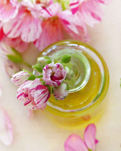 Rose Geranium Oil