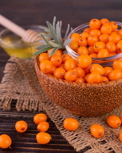 Sea Buckthorn